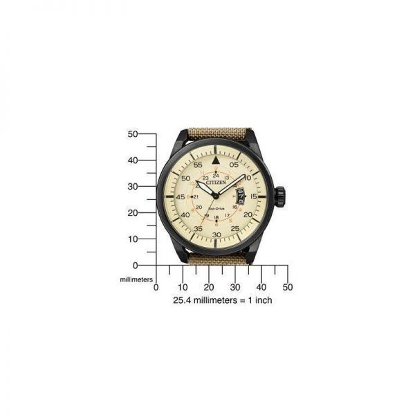 CITIZEN AVIATOR AW1365-19P