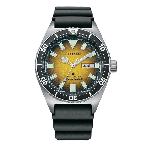 NY0120-01X